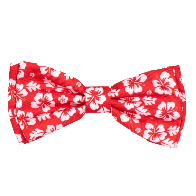 Bow Tie | Aloha Coral