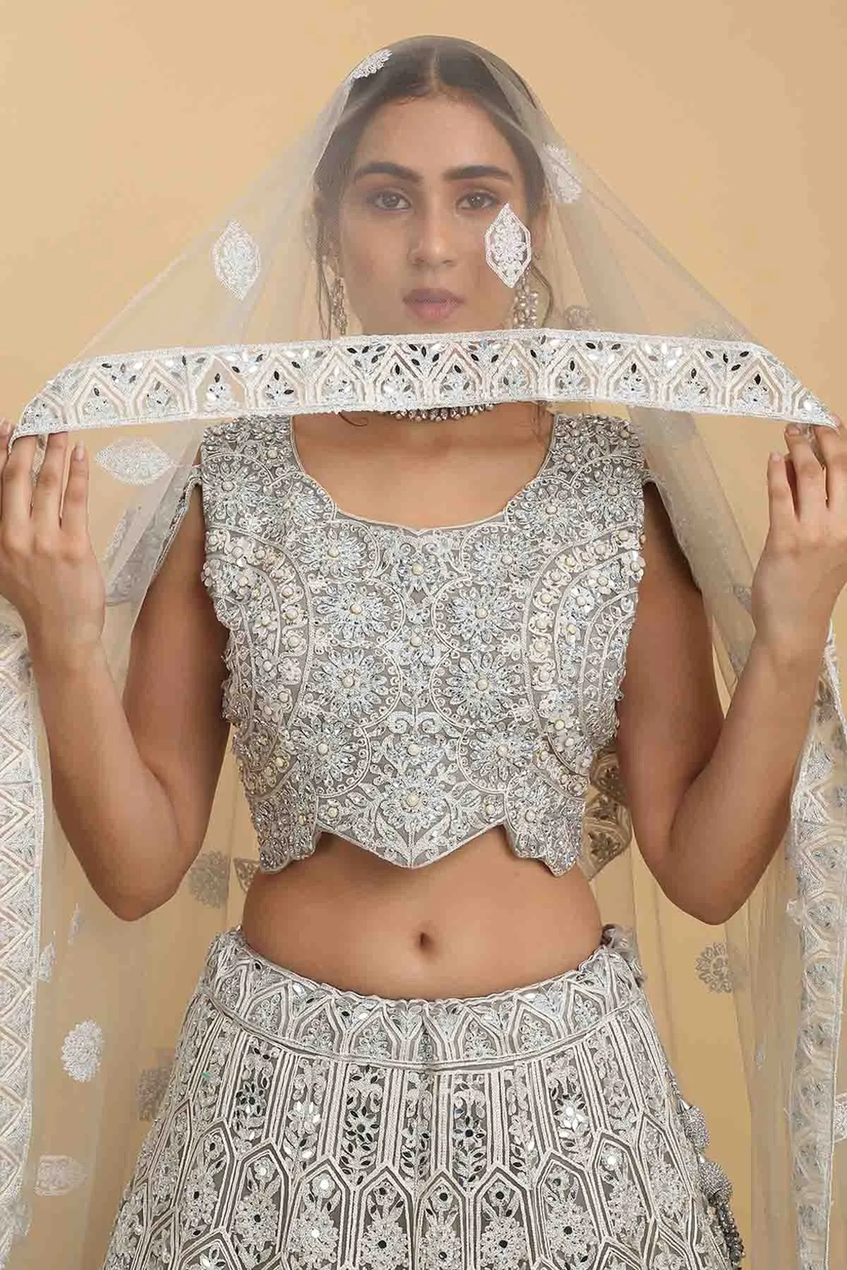 Embroidered Silver Lehenga Set