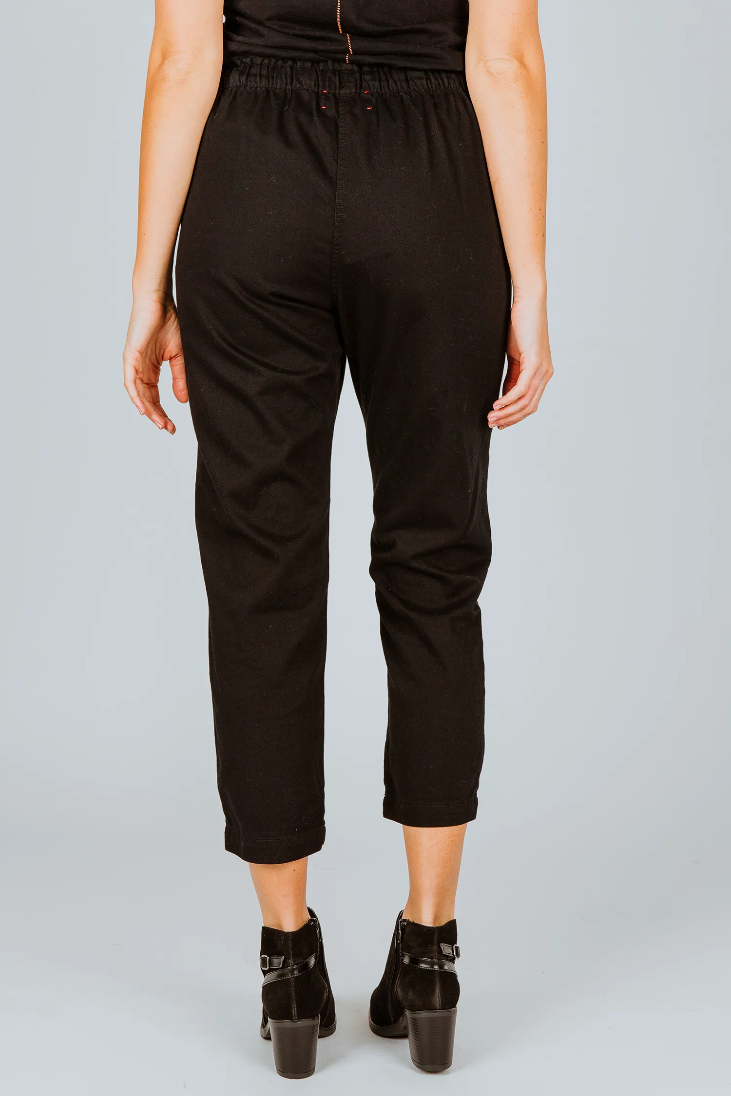 Xirena Rex Pant in Black